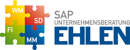 SAP Unternehmensberater Stefan Ehlen/